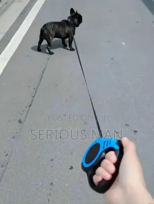 Retractable Dog Leash