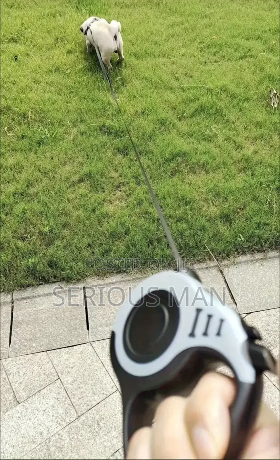 Retractable Dog Leash