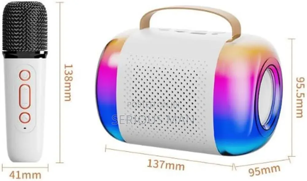 Wireless Microphone and Speaker Set With 2 Microphone