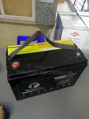 SMF Fortuna Battery 100ah/12v