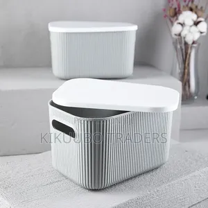 Storage Box With Grey Lid