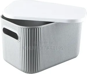 Storage Box With Grey Lid