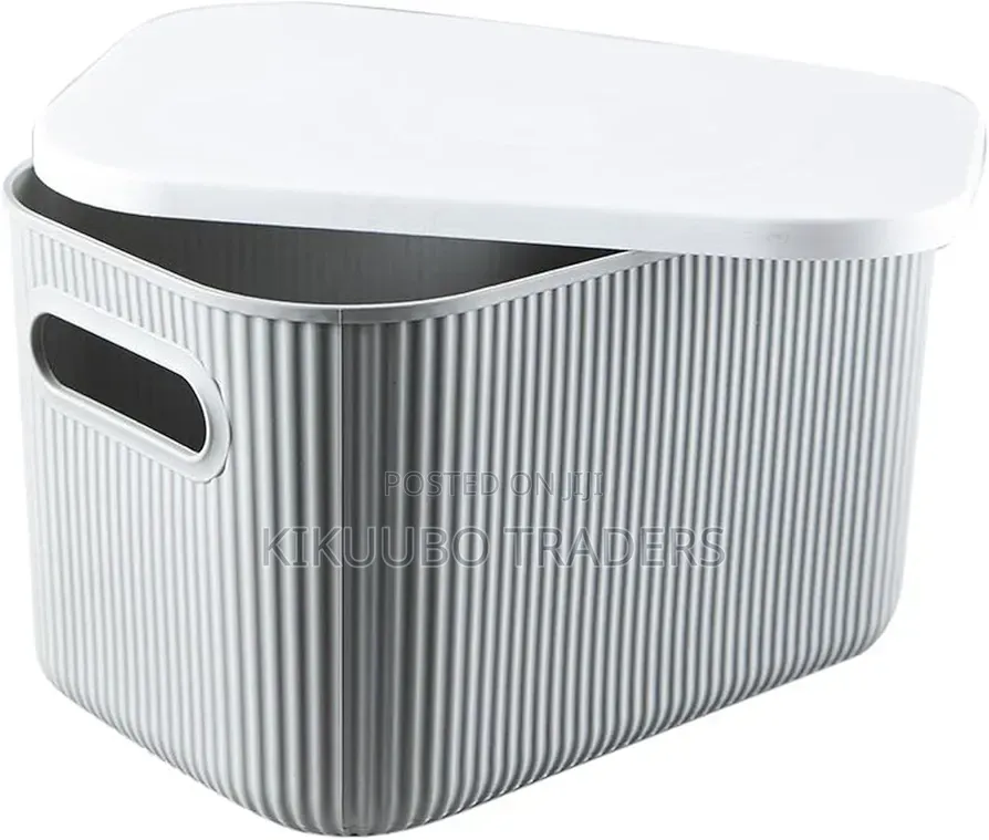 Storage Box With Grey Lid