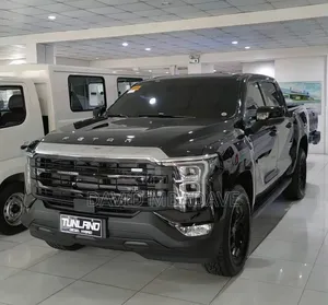 New Foton Tunland 2025 Gray
