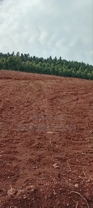 Land on Sale With Ready Land Title