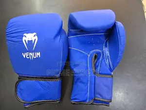 Boxing Gloves (Venum)