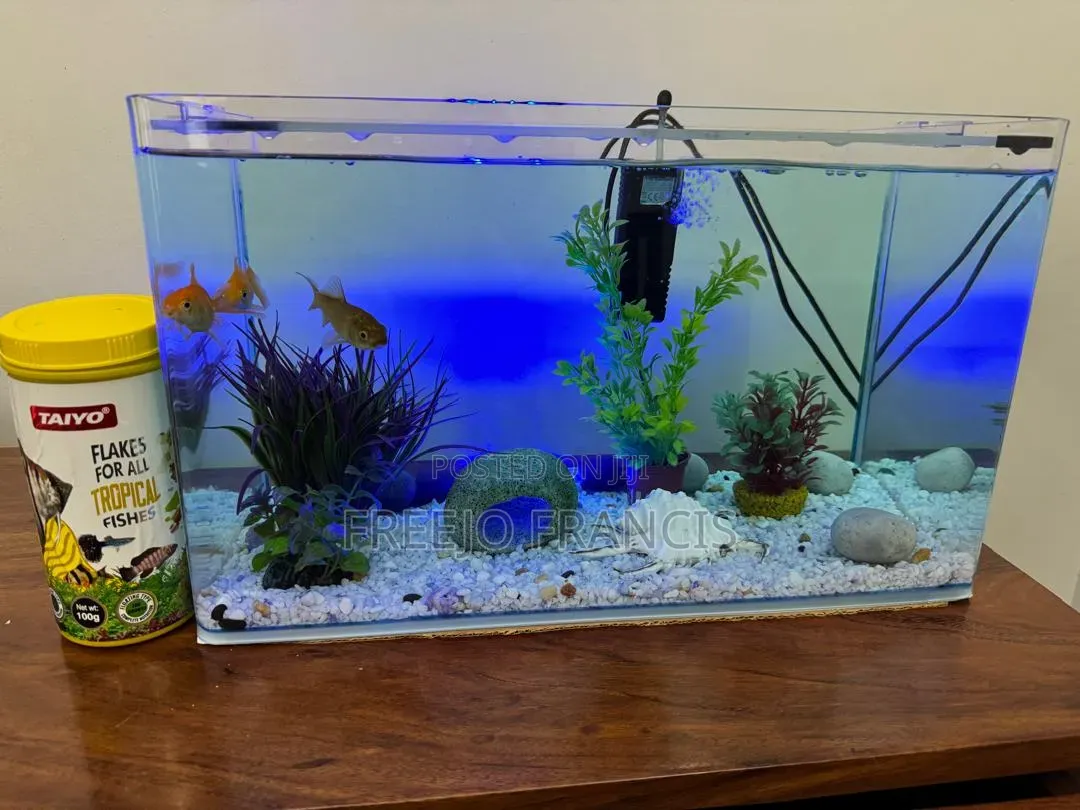 New Aquarium