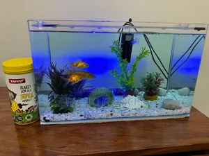 New Aquarium