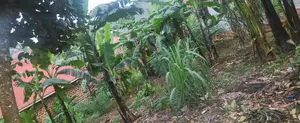 Land for Sell at Matuga 100m Off Main Road