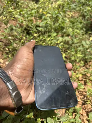 Apple iPhone 12 64 GB Blue