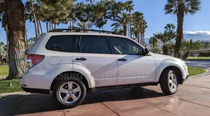 Car for Hire/Car Rental