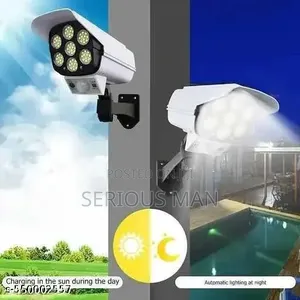 Solar Outdoor Security Movement Sensor Light With Remote
