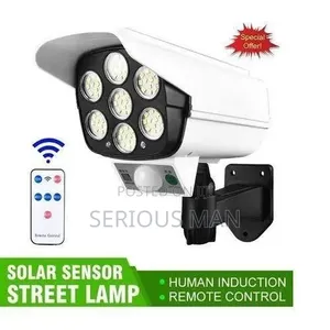 Solar Outdoor Security Movement Sensor Light With Remote