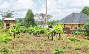 Titled Plot On Quick Sale In Wakiso Kakiri Mwera