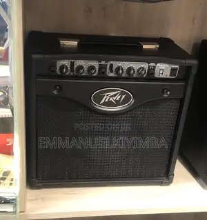 Peavy Rage 158 Combo