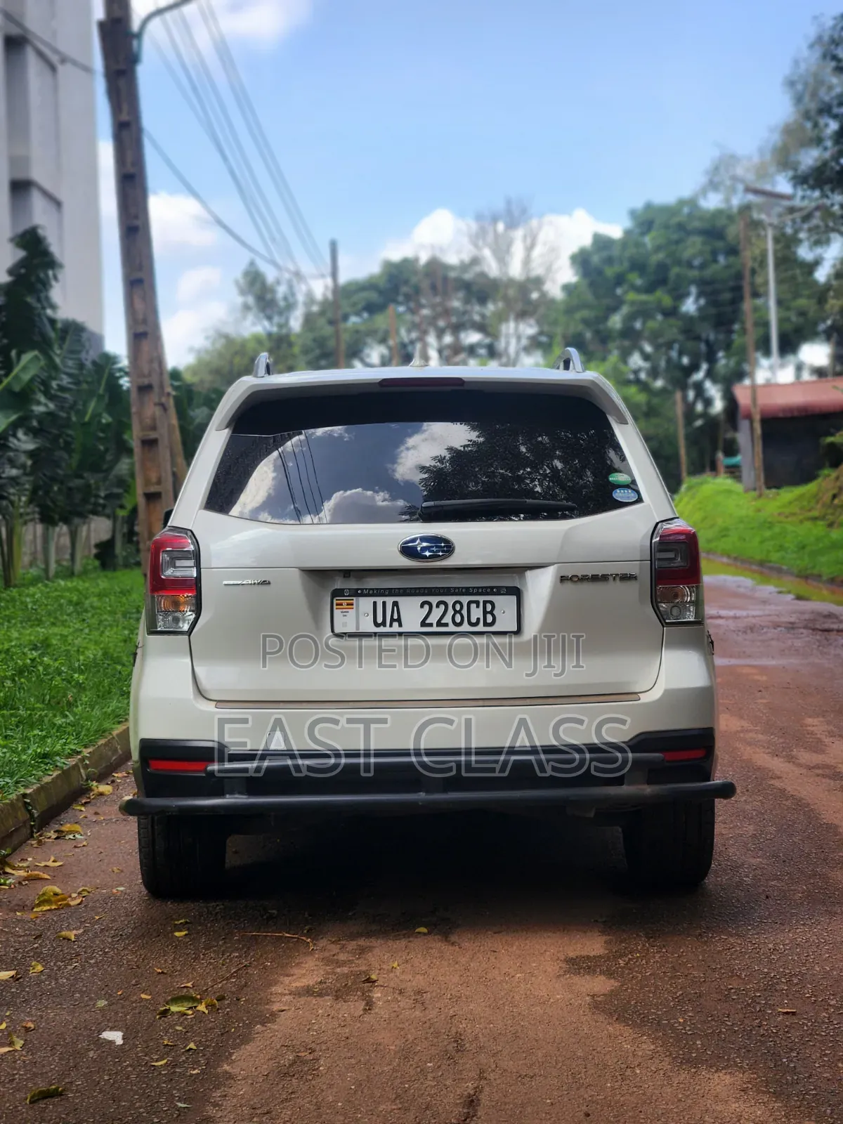 Subaru Forester 2016 White