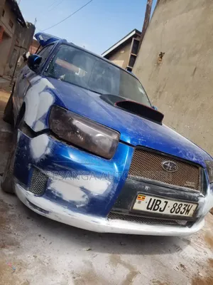 Car Spraying/Painting and Panel Beating