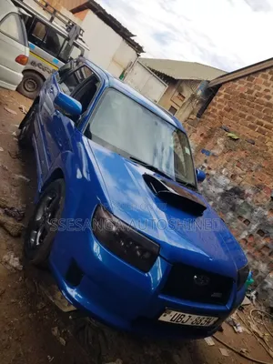 Car Spraying/Painting and Panel Beating