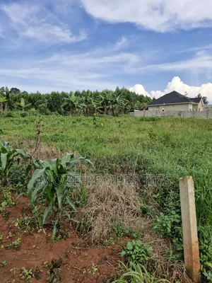 50x100 Plots for Sale in Nakasaja Gayaza.