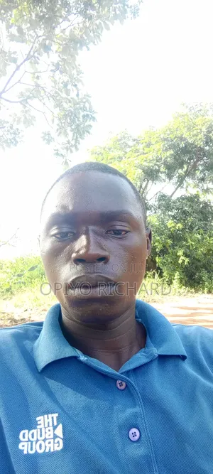 Sale Agent for Phone