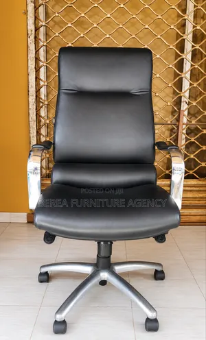 Unique Pure Leather Executive Office Chair