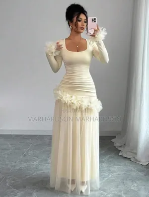 Classy Mesh Dress