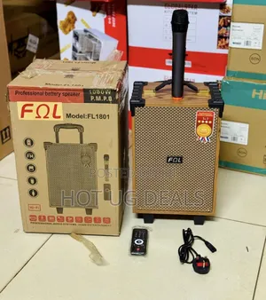 FNL Wooden Trolley Portable Bluetooth Speaker With Wireless Microphone