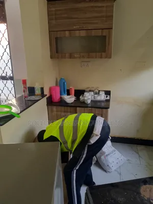 Home Movers and Professional Packers $$