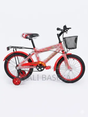 Mountain Climb Bicycle