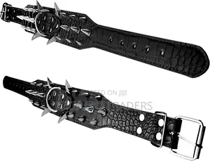 New Dog Spiked Collar