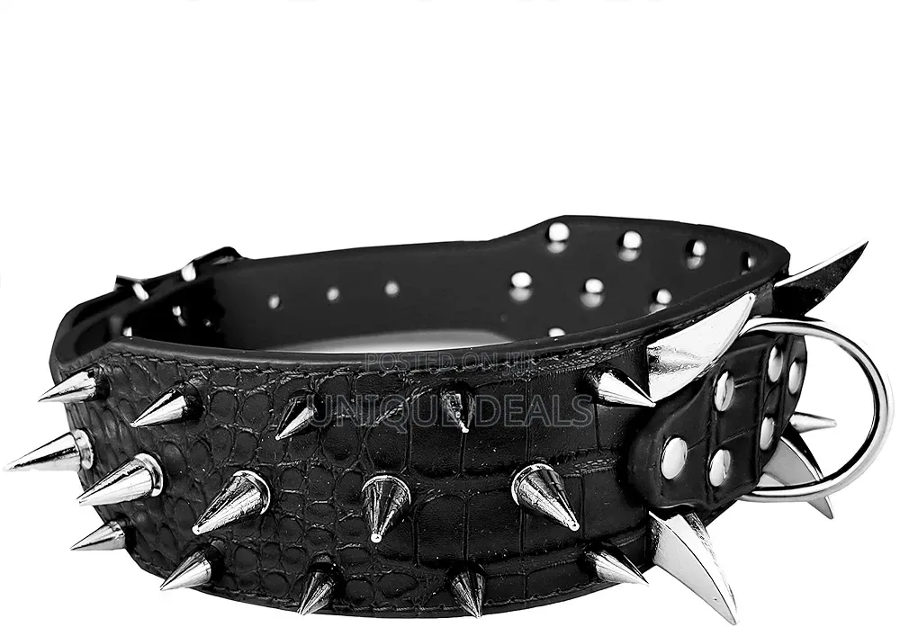 Dog Spiked Collar