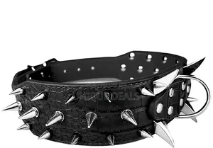Dog Spiked Collar