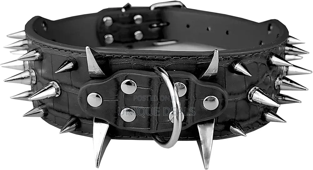 Dog Spiked Collar