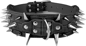 Dog Spiked Collar