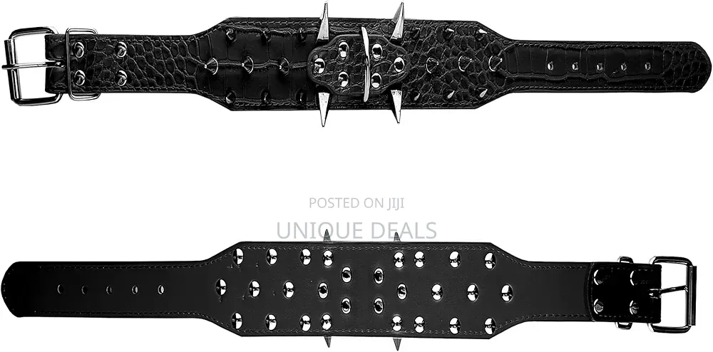 Dog Spiked Collar