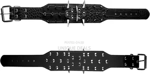 Dog Spiked Collar