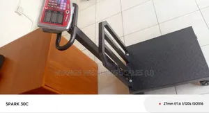 Electronic Weighing Scales Weigh Accurate 600kg Digital Weighing Scale