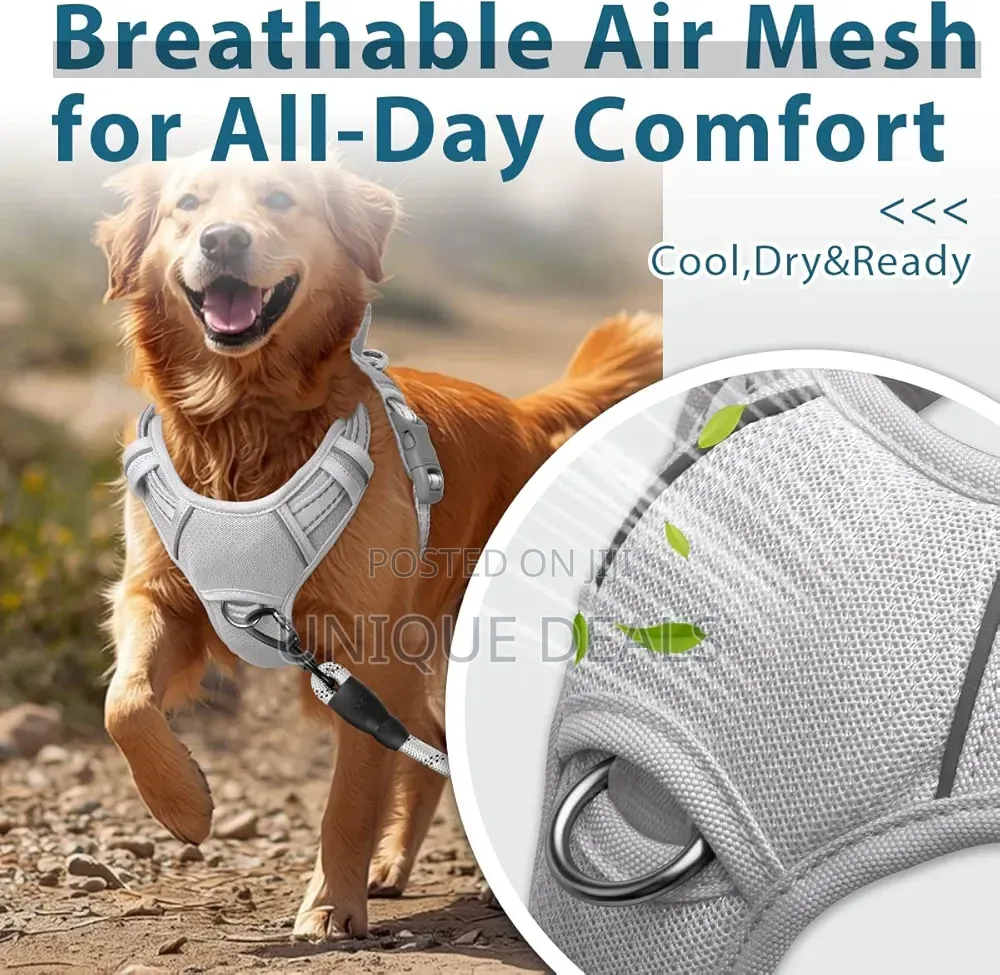 Dog Harness No Pull With Id Tag Pocket