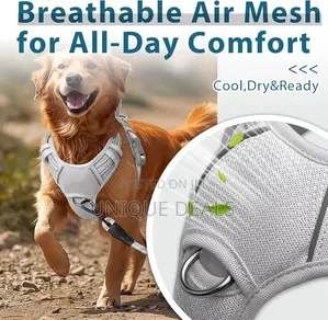 Dog Harness No Pull With Id Tag Pocket