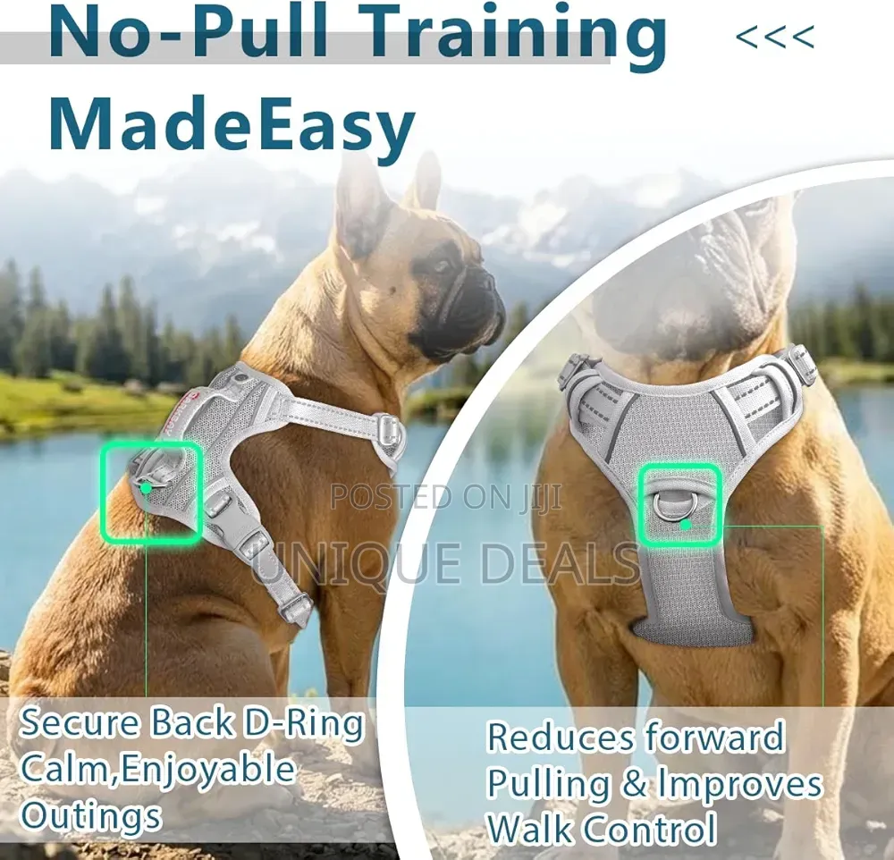 Dog Harness No Pull With Id Tag Pocket