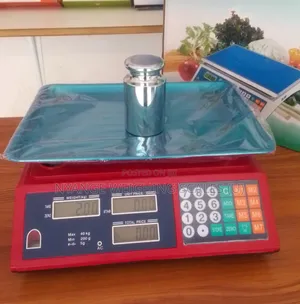 Pricing Weighing Scale 40kg Weigh Dual Display Digital Weighing Scale