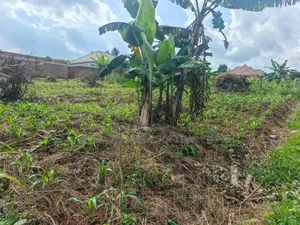 1⁄2 Acre Land – Bwerenga Bugiri (Entebbe Road) at 250m