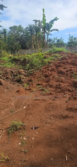 50×100 Plot – Wamala (Entebbe Road) at 60m