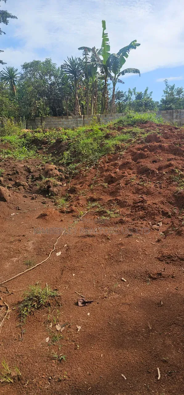 50×100 Plot – Wamala (Entebbe Road) at 60m