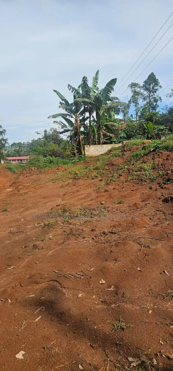 50×100 Plot – Wamala (Entebbe Road) at 60m