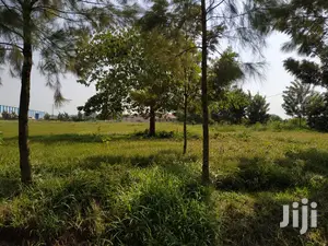 Industrial Land For Sale
