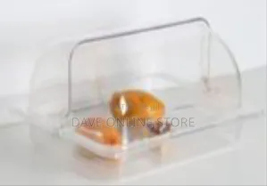 Clear Dome Food Cover / Serving Display