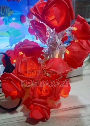 3metres Long Romantic Rose String Lights