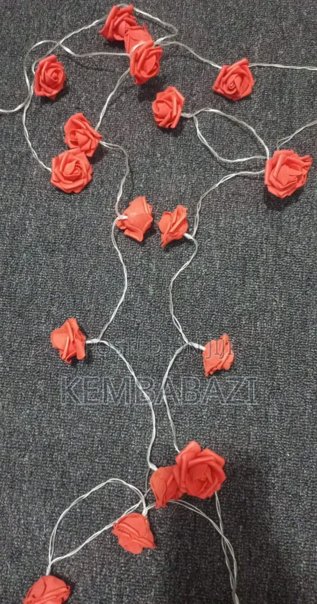 3metres Long Romantic Rose String Lights