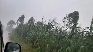 20 Acres for Sale in Wanfuufu, Luwero